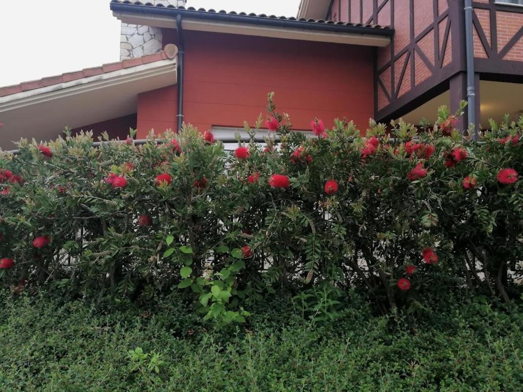 Madarian Guest House Lezama  Exterior photo